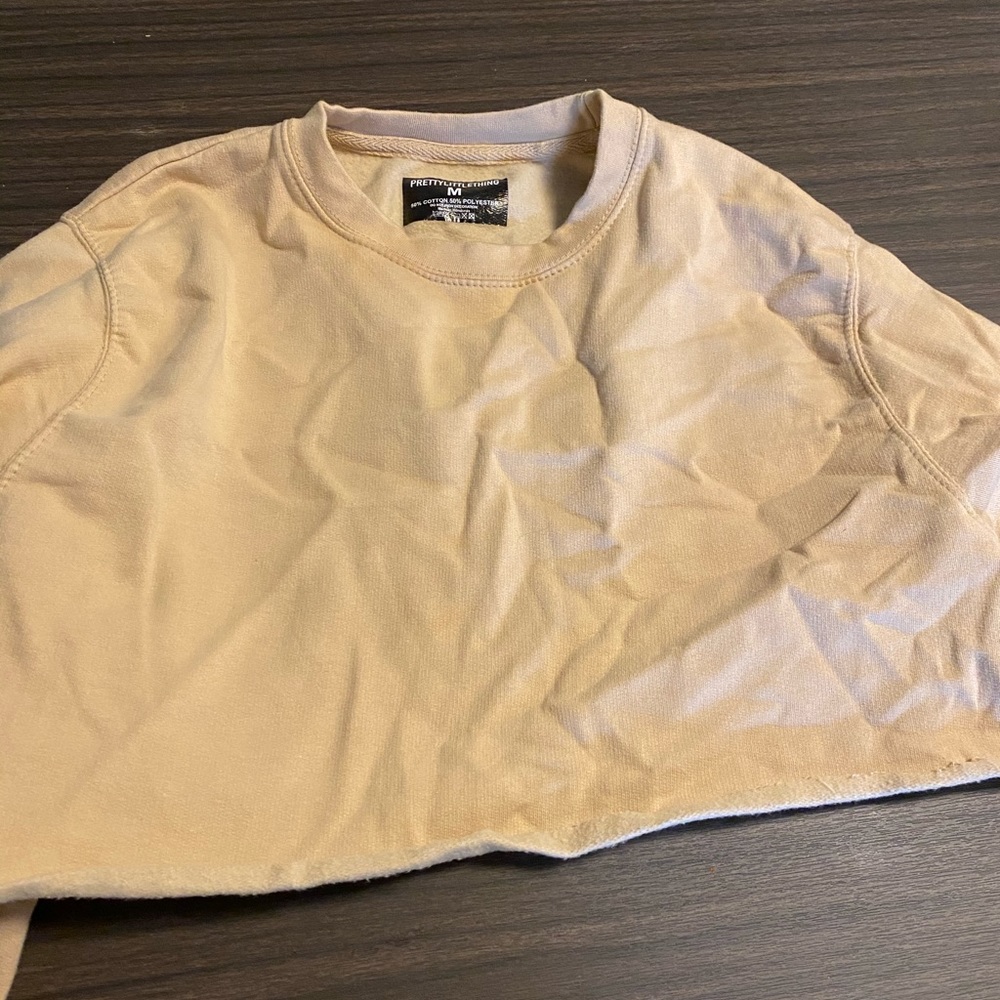 Beige Cropped Sweatshirt - Picture 5 of 5